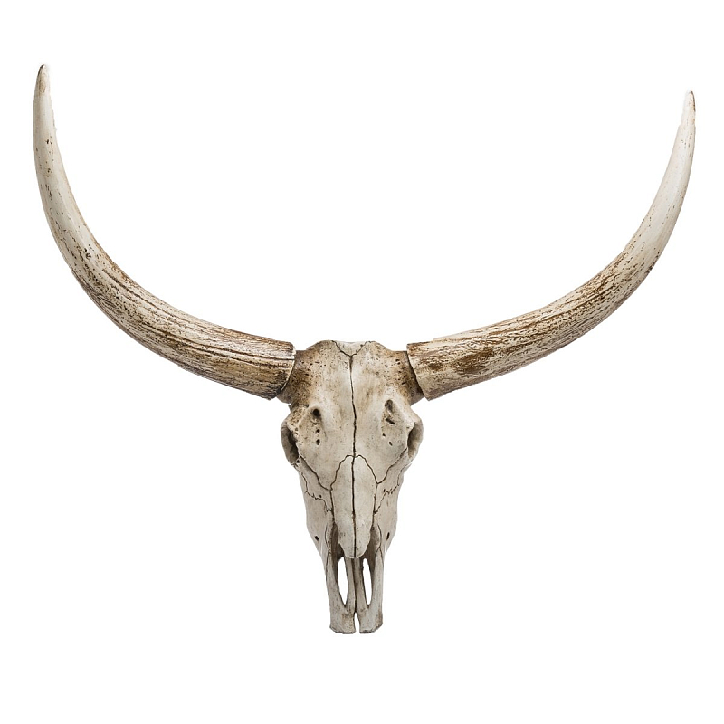 Череп быка Bull Skull Бежево-серый в Тюмени | Loft Concept 