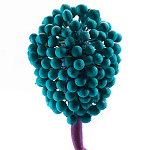 Статуэтка для интерьера фрукт Pandora Tropical Fruit 22 варинант исполнения - 2 | Loft Concept в Тюмени