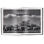 Книга Beusker. Look into my Eyes варинант исполнения - 2 | Loft Concept в Тюмени