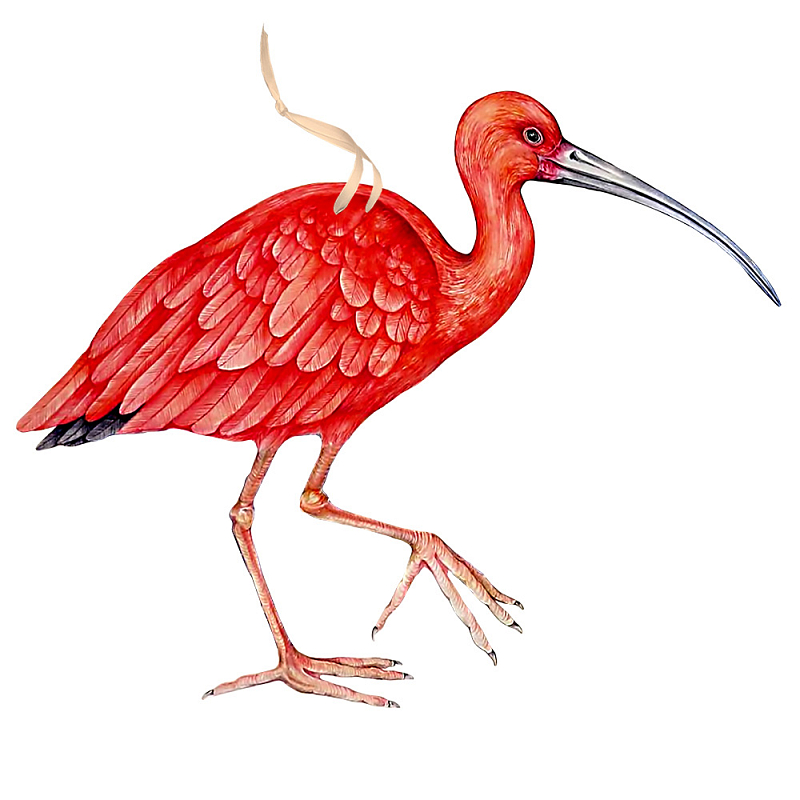 Арт-объект Scarlet Ibis Красный Арт-объект Scarlet Ibis Красный в Тюмени | Loft Concept