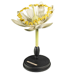 Статуэтка Tilia варинант исполнения - 3 | Loft Concept в Тюмени