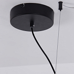 Люстра подвесная светодиодная черный металл Ring Horizontal варинант исполнения - 13 | Loft Concept в Тюмени