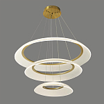 Люстра подвесная с 3-мя кольцевыми светодиодными лампами Catcher варинант исполнения - 1 | Loft Concept в Тюмени