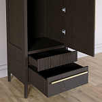 Узкий Шкаф Primo с 2 выдвижными ящиками Темный орех варинант исполнения - 5 | Loft Concept в Тюмени