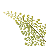 Декоративный искусственное растение Dried flower варинант исполнения - 3 | Loft Concept в Тюмени