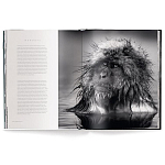 Книга Beusker. Look into my Eyes варинант исполнения - 3 | Loft Concept в Тюмени