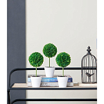 Декоративный искусственное растение Boxwood One варинант исполнения - 9 | Loft Concept в Тюмени