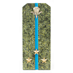 Сувенир Погон Старший Лейтенант ВДВ из натурального камня змеевик Souvenir Epaulets варинант исполнения - 1 | Loft Concept в Тюмени