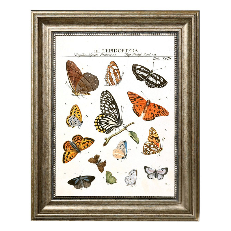 Постер Little Butterflies Постер Little Butterflies в Тюмени | Loft Concept
