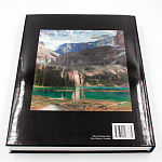 Подарочная Книга художник John Singer Sargent: Figures and Landscapes, 1914-1925 варинант исполнения - 3 | Loft Concept в Тюмени