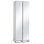 Двухдверный шкаф с зеркальными дверцами Strict Lines варинант исполнения - 5 | Loft Concept в Тюмени