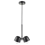 Подвесной светильник черный с 2-мя плафонами Pendant lamp Black варинант исполнения - 1 | Loft Concept в Тюмени