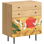 Комод с принтом на ящиках Elise Chest of Drawers варинант исполнения - 4 | Loft Concept в Тюмени