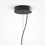 Подвесной светильник Rare grapes варинант исполнения - 4 | Loft Concept в Тюмени