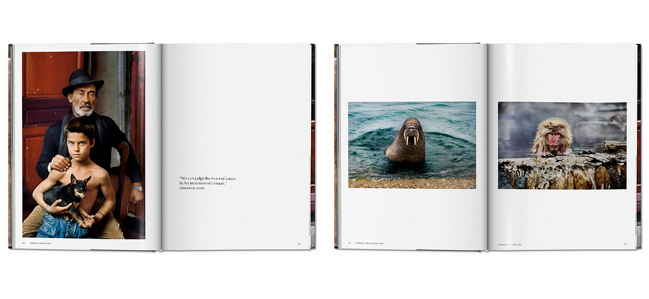 Steve McCurry. Animals Steve McCurry. Animals - Loft-Concept в Тюмени