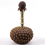 Статуэтка тропический фрукт Pandora Tropical Fruit Brown варинант исполнения - 2 | Loft Concept в Тюмени