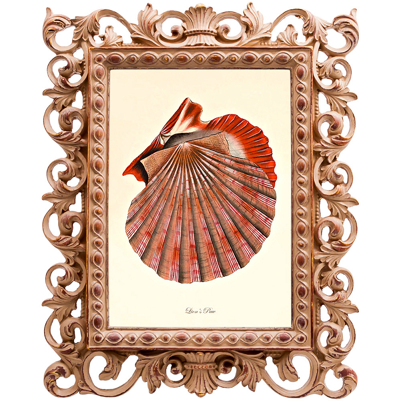 Постер Scarlet Scallop Бежевый Красный Постер Scarlet Scallop Бежевый Красный в Тюмени | Loft Concept