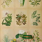 Обои ручная роспись Botanical Studies Linnaeus colourway варинант исполнения - 3 | Loft Concept в Тюмени