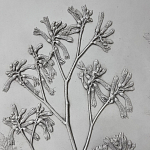 Панно Лесной цветок варинант исполнения - 4 | Loft Concept в Тюмени