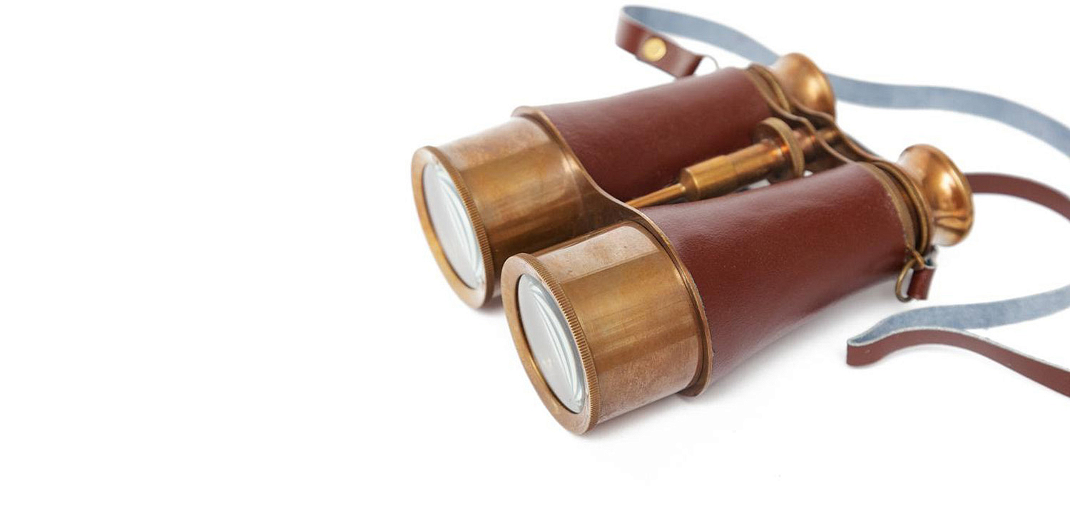 Винтажный бинокль в подарочной коробке Victorian Era Brass Binoculars - Loft-Concept в Тюмени