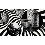 Редкое коллекционное издание Casa Cavalli Home: Celebrating the Roberto Cavalli Lifestyle Зебра варинант исполнения - 4 | Loft Concept в Тюмени