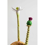 Статуэтка тропический фрукт Pandora Tropical Fruit Orange Two Flowers варинант исполнения - 2 | Loft Concept в Тюмени