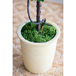 Декоративный искусственное растение Single boxwood варинант исполнения - 6 | Loft Concept в Тюмени