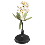 Статуэтка Wonderboom варинант исполнения - 2 | Loft Concept в Тюмени