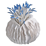 Статуэтка тропический фрукт Tropical Fruit White Blue варинант исполнения - 2 | Loft Concept в Тюмени