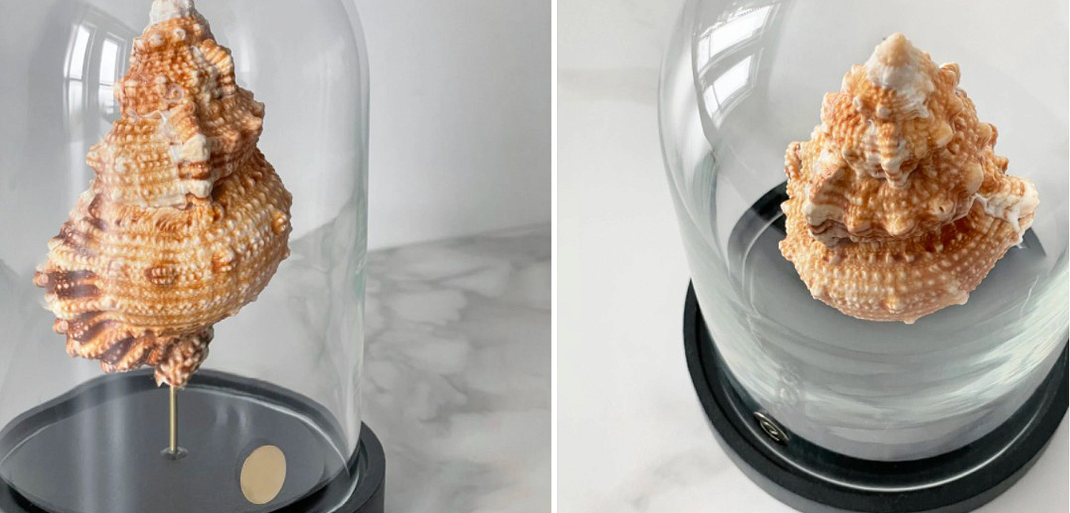 Статуэтка Bursa Rubeta Glass Cloche Статуэтка Bursa Rubeta Glass Cloche - Loft-Concept в Тюмени