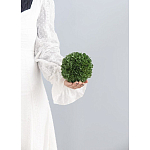 Декоративный искусственное растение Small boxwood варинант исполнения - 3 | Loft Concept в Тюмени