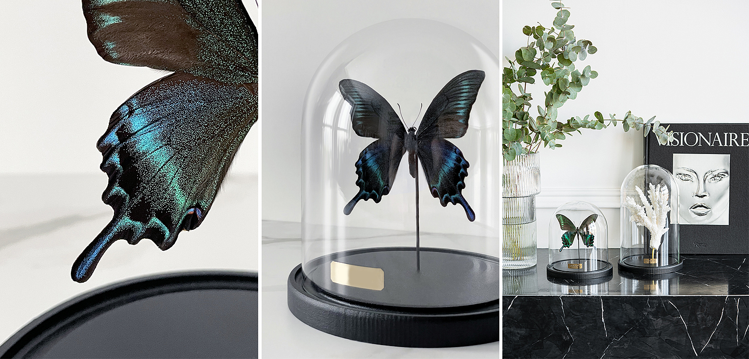 Статуэтка Butterfly Sailboat Maaka Glass Cloche Статуэтка Butterfly Sailboat Maaka Glass Cloche - Loft-Concept в Тюмени