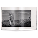 Книга Beusker. Look into my Eyes варинант исполнения - 1 | Loft Concept в Тюмени