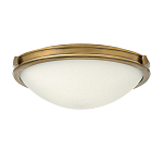 Потолочный светильник цвета латунь с полусферическим матовым белым плафоном Hinkley варинант исполнения - 4 | Loft Concept в Тюмени