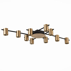 Потолочный светильник Aigle Ceiling Light 10