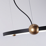 Люстра подвесная светодиодная черный металл Ring Horizontal варинант исполнения - 4 | Loft Concept в Тюмени