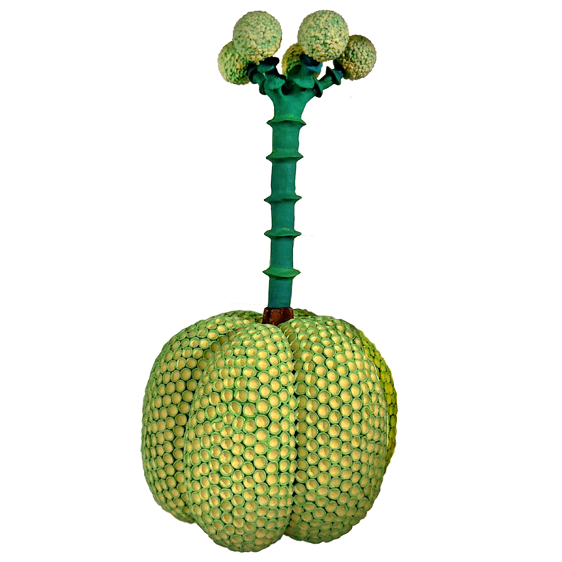 Статуэтка Зеленый тропический фрукт Pandora Tropical Light Green 69 Салатовый Мульти в Тюмени | Loft Concept 