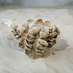 Ваза из серии «Волнение 3» варинант исполнения - 2 | Loft Concept в Тюмени