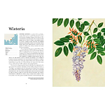 Прекрасно иллюстрированная книга более 100 ботанических произведений Plant Hunters Atlas варинант исполнения - 4 | Loft Concept в Тюмени