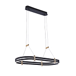 Люстра светодиодная в форме овала из акрила и алюминия с пультом для регулировки света Ring Horizontal Anthracite варинант исполнения - 2 | Loft Concept в Тюмени