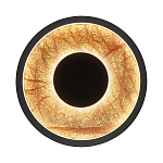 Бра круглое Gold Sun Lighting  варинант исполнения - 1 | Loft Concept в Тюмени