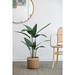 Декоративный искусственное растение Decor Stile  варинант исполнения - 5 | Loft Concept в Тюмени